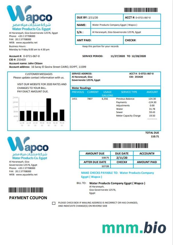 Egypt Water Products Firma Egypt (Wapco) szablon rachunku za media w formacie Word i PDF